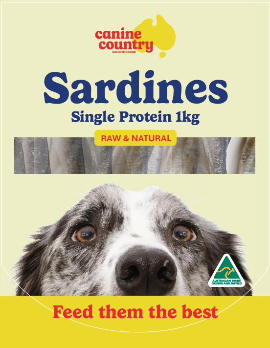 Wild caught Sardines 1kg